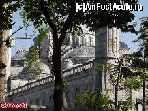 [P33] Moscheea Albastră » foto by Costi
 - 
<span class="allrVoted glyphicon glyphicon-heart hidden" id="av420148"></span>
<a class="m-l-10 hidden" id="sv420148" onclick="voting_Foto_DelVot(,420148,2468)" role="button">șterge vot <span class="glyphicon glyphicon-remove"></span></a>
<a id="v9420148" class=" c-red"  onclick="voting_Foto_SetVot(420148)" role="button"><span class="glyphicon glyphicon-heart-empty"></span> <b>LIKE</b> = Votează poza</a> <img class="hidden"  id="f420148W9" src="/imagini/loader.gif" border="0" /><span class="AjErrMes hidden" id="e420148ErM"></span>