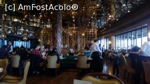 [P12] Interiorul restaurantului » foto by androstef
 - 
<span class="allrVoted glyphicon glyphicon-heart hidden" id="av951407"></span>
<a class="m-l-10 hidden" id="sv951407" onclick="voting_Foto_DelVot(,951407,2468)" role="button">șterge vot <span class="glyphicon glyphicon-remove"></span></a>
<a id="v9951407" class=" c-red"  onclick="voting_Foto_SetVot(951407)" role="button"><span class="glyphicon glyphicon-heart-empty"></span> <b>LIKE</b> = Votează poza</a> <img class="hidden"  id="f951407W9" src="/imagini/loader.gif" border="0" /><span class="AjErrMes hidden" id="e951407ErM"></span>