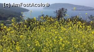 [P04] Din vârf de colină de pe insula Heybeliada, o privire către vecina insulă Burgazada (dreapta) » foto by irinad
 - 
<span class="allrVoted glyphicon glyphicon-heart hidden" id="av963797"></span>
<a class="m-l-10 hidden" id="sv963797" onclick="voting_Foto_DelVot(,963797,2468)" role="button">șterge vot <span class="glyphicon glyphicon-remove"></span></a>
<a id="v9963797" class=" c-red"  onclick="voting_Foto_SetVot(963797)" role="button"><span class="glyphicon glyphicon-heart-empty"></span> <b>LIKE</b> = Votează poza</a> <img class="hidden"  id="f963797W9" src="/imagini/loader.gif" border="0" /><span class="AjErrMes hidden" id="e963797ErM"></span>