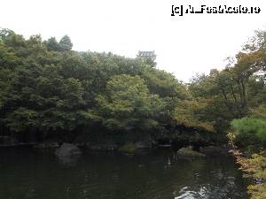 [P62] Himeji, Grădina Koko-en, Grădina Seniorului » foto by mprofeanu
 - 
<span class="allrVoted glyphicon glyphicon-heart hidden" id="av692577"></span>
<a class="m-l-10 hidden" id="sv692577" onclick="voting_Foto_DelVot(,692577,2490)" role="button">șterge vot <span class="glyphicon glyphicon-remove"></span></a>
<a id="v9692577" class=" c-red"  onclick="voting_Foto_SetVot(692577)" role="button"><span class="glyphicon glyphicon-heart-empty"></span> <b>LIKE</b> = Votează poza</a> <img class="hidden"  id="f692577W9" src="/imagini/loader.gif" border="0" /><span class="AjErrMes hidden" id="e692577ErM"></span>