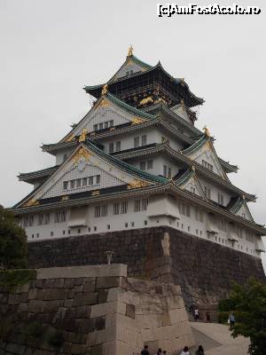 [P10] Castelul Osaka, prim plan » foto by mprofeanu
 - 
<span class="allrVoted glyphicon glyphicon-heart hidden" id="av701999"></span>
<a class="m-l-10 hidden" id="sv701999" onclick="voting_Foto_DelVot(,701999,2490)" role="button">șterge vot <span class="glyphicon glyphicon-remove"></span></a>
<a id="v9701999" class=" c-red"  onclick="voting_Foto_SetVot(701999)" role="button"><span class="glyphicon glyphicon-heart-empty"></span> <b>LIKE</b> = Votează poza</a> <img class="hidden"  id="f701999W9" src="/imagini/loader.gif" border="0" /><span class="AjErrMes hidden" id="e701999ErM"></span>