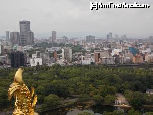 [P18] Castelul Osaka, orașul văzut de la etajul 8 » foto by mprofeanu
 - 
<span class="allrVoted glyphicon glyphicon-heart hidden" id="av702014"></span>
<a class="m-l-10 hidden" id="sv702014" onclick="voting_Foto_DelVot(,702014,2490)" role="button">șterge vot <span class="glyphicon glyphicon-remove"></span></a>
<a id="v9702014" class=" c-red"  onclick="voting_Foto_SetVot(702014)" role="button"><span class="glyphicon glyphicon-heart-empty"></span> <b>LIKE</b> = Votează poza</a> <img class="hidden"  id="f702014W9" src="/imagini/loader.gif" border="0" /><span class="AjErrMes hidden" id="e702014ErM"></span>
