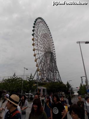 [P31] Osaka, Gigantica Roată Tempozan amplasată lângă Acvariu » foto by mprofeanu
 - 
<span class="allrVoted glyphicon glyphicon-heart hidden" id="av702038"></span>
<a class="m-l-10 hidden" id="sv702038" onclick="voting_Foto_DelVot(,702038,2490)" role="button">șterge vot <span class="glyphicon glyphicon-remove"></span></a>
<a id="v9702038" class=" c-red"  onclick="voting_Foto_SetVot(702038)" role="button"><span class="glyphicon glyphicon-heart-empty"></span> <b>LIKE</b> = Votează poza</a> <img class="hidden"  id="f702038W9" src="/imagini/loader.gif" border="0" /><span class="AjErrMes hidden" id="e702038ErM"></span>
