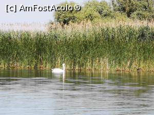 [P44] Excursie pe canalele Dunării » foto by crismis
 - 
<span class="allrVoted glyphicon glyphicon-heart hidden" id="av1322778"></span>
<a class="m-l-10 hidden" id="sv1322778" onclick="voting_Foto_DelVot(,1322778,2492)" role="button">șterge vot <span class="glyphicon glyphicon-remove"></span></a>
<a id="v91322778" class=" c-red"  onclick="voting_Foto_SetVot(1322778)" role="button"><span class="glyphicon glyphicon-heart-empty"></span> <b>LIKE</b> = Votează poza</a> <img class="hidden"  id="f1322778W9" src="/imagini/loader.gif" border="0" /><span class="AjErrMes hidden" id="e1322778ErM"></span>