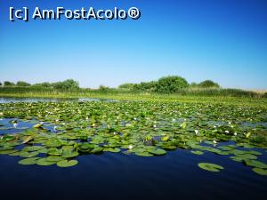 [P46] Excursie pe canalele Dunării » foto by crismis
 - 
<span class="allrVoted glyphicon glyphicon-heart hidden" id="av1322780"></span>
<a class="m-l-10 hidden" id="sv1322780" onclick="voting_Foto_DelVot(,1322780,2492)" role="button">șterge vot <span class="glyphicon glyphicon-remove"></span></a>
<a id="v91322780" class=" c-red"  onclick="voting_Foto_SetVot(1322780)" role="button"><span class="glyphicon glyphicon-heart-empty"></span> <b>LIKE</b> = Votează poza</a> <img class="hidden"  id="f1322780W9" src="/imagini/loader.gif" border="0" /><span class="AjErrMes hidden" id="e1322780ErM"></span>