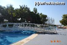 [P19] Main Pool, aici se vad ambele poduri care-o traverseaza » foto by izabellac
 - 
<span class="allrVoted glyphicon glyphicon-heart hidden" id="av253783"></span>
<a class="m-l-10 hidden" id="sv253783" onclick="voting_Foto_DelVot(,253783,2494)" role="button">șterge vot <span class="glyphicon glyphicon-remove"></span></a>
<a id="v9253783" class=" c-red"  onclick="voting_Foto_SetVot(253783)" role="button"><span class="glyphicon glyphicon-heart-empty"></span> <b>LIKE</b> = Votează poza</a> <img class="hidden"  id="f253783W9" src="/imagini/loader.gif" border="0" /><span class="AjErrMes hidden" id="e253783ErM"></span>