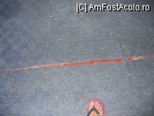 [P10] Finisaje de 4 stele » foto by mihaiu77
 - 
<span class="allrVoted glyphicon glyphicon-heart hidden" id="av18887"></span>
<a class="m-l-10 hidden" id="sv18887" onclick="voting_Foto_DelVot(,18887,2498)" role="button">șterge vot <span class="glyphicon glyphicon-remove"></span></a>
<a id="v918887" class=" c-red"  onclick="voting_Foto_SetVot(18887)" role="button"><span class="glyphicon glyphicon-heart-empty"></span> <b>LIKE</b> = Votează poza</a> <img class="hidden"  id="f18887W9" src="/imagini/loader.gif" border="0" /><span class="AjErrMes hidden" id="e18887ErM"></span>