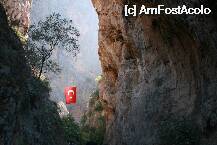 [P05]  -- <small>// FĂRĂ DESCRIERE</small> » foto by mihaelavlad2000
 - 
<span class="allrVoted glyphicon glyphicon-heart hidden" id="av7820"></span>
<a class="m-l-10 hidden" id="sv7820" onclick="voting_Foto_DelVot(,7820,2502)" role="button">șterge vot <span class="glyphicon glyphicon-remove"></span></a>
<a id="v97820" class=" c-red"  onclick="voting_Foto_SetVot(7820)" role="button"><span class="glyphicon glyphicon-heart-empty"></span> <b>LIKE</b> = Votează poza</a> <img class="hidden"  id="f7820W9" src="/imagini/loader.gif" border="0" /><span class="AjErrMes hidden" id="e7820ErM"></span>