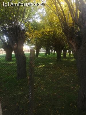 [P18]  -- <small>// FĂRĂ DESCRIERE</small> » foto by Cristian_h
 - 
<span class="allrVoted glyphicon glyphicon-heart hidden" id="av1504800"></span>
<a class="m-l-10 hidden" id="sv1504800" onclick="voting_Foto_DelVot(,1504800,2510)" role="button">șterge vot <span class="glyphicon glyphicon-remove"></span></a>
<a id="v91504800" class=" c-red"  onclick="voting_Foto_SetVot(1504800)" role="button"><span class="glyphicon glyphicon-heart-empty"></span> <b>LIKE</b> = Votează poza</a> <img class="hidden"  id="f1504800W9" src="/imagini/loader.gif" border="0" /><span class="AjErrMes hidden" id="e1504800ErM"></span>