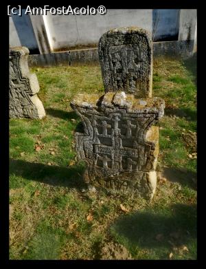 [P04]  -- <small>// FĂRĂ DESCRIERE</small> » foto by Cristian_h
 - 
<span class="allrVoted glyphicon glyphicon-heart hidden" id="av1504786"></span>
<a class="m-l-10 hidden" id="sv1504786" onclick="voting_Foto_DelVot(,1504786,2510)" role="button">șterge vot <span class="glyphicon glyphicon-remove"></span></a>
<a id="v91504786" class=" c-red"  onclick="voting_Foto_SetVot(1504786)" role="button"><span class="glyphicon glyphicon-heart-empty"></span> <b>LIKE</b> = Votează poza</a> <img class="hidden"  id="f1504786W9" src="/imagini/loader.gif" border="0" /><span class="AjErrMes hidden" id="e1504786ErM"></span>