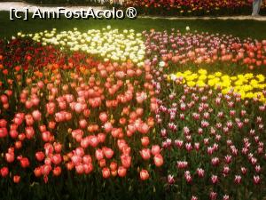 [P10]  -- <small>// FĂRĂ DESCRIERE</small> » foto by Cristian_h
 - 
<span class="allrVoted glyphicon glyphicon-heart hidden" id="av1524762"></span>
<a class="m-l-10 hidden" id="sv1524762" onclick="voting_Foto_DelVot(,1524762,2510)" role="button">șterge vot <span class="glyphicon glyphicon-remove"></span></a>
<a id="v91524762" class=" c-red"  onclick="voting_Foto_SetVot(1524762)" role="button"><span class="glyphicon glyphicon-heart-empty"></span> <b>LIKE</b> = Votează poza</a> <img class="hidden"  id="f1524762W9" src="/imagini/loader.gif" border="0" /><span class="AjErrMes hidden" id="e1524762ErM"></span>