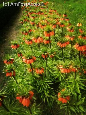 [P14]  -- <small>// FĂRĂ DESCRIERE</small> » foto by Cristian_h
 - 
<span class="allrVoted glyphicon glyphicon-heart hidden" id="av1524766"></span>
<a class="m-l-10 hidden" id="sv1524766" onclick="voting_Foto_DelVot(,1524766,2510)" role="button">șterge vot <span class="glyphicon glyphicon-remove"></span></a>
<a id="v91524766" class=" c-red"  onclick="voting_Foto_SetVot(1524766)" role="button"><span class="glyphicon glyphicon-heart-empty"></span> <b>LIKE</b> = Votează poza</a> <img class="hidden"  id="f1524766W9" src="/imagini/loader.gif" border="0" /><span class="AjErrMes hidden" id="e1524766ErM"></span>