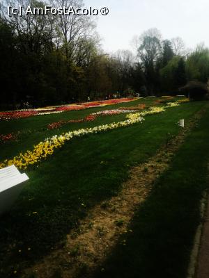 [P07]  -- <small>// FĂRĂ DESCRIERE</small> » foto by Cristian_h
 - 
<span class="allrVoted glyphicon glyphicon-heart hidden" id="av1524759"></span>
<a class="m-l-10 hidden" id="sv1524759" onclick="voting_Foto_DelVot(,1524759,2510)" role="button">șterge vot <span class="glyphicon glyphicon-remove"></span></a>
<a id="v91524759" class=" c-red"  onclick="voting_Foto_SetVot(1524759)" role="button"><span class="glyphicon glyphicon-heart-empty"></span> <b>LIKE</b> = Votează poza</a> <img class="hidden"  id="f1524759W9" src="/imagini/loader.gif" border="0" /><span class="AjErrMes hidden" id="e1524759ErM"></span>