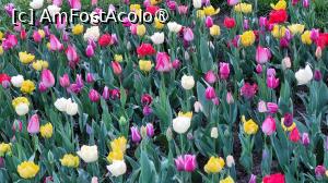 [P04] Targul de Paste Craiova 2026 » foto by vlado2
 - 
<span class="allrVoted glyphicon glyphicon-heart hidden" id="av1525908"></span>
<a class="m-l-10 hidden" id="sv1525908" onclick="voting_Foto_DelVot(,1525908,2510)" role="button">șterge vot <span class="glyphicon glyphicon-remove"></span></a>
<a id="v91525908" class=" c-red"  onclick="voting_Foto_SetVot(1525908)" role="button"><span class="glyphicon glyphicon-heart-empty"></span> <b>LIKE</b> = Votează poza</a> <img class="hidden"  id="f1525908W9" src="/imagini/loader.gif" border="0" /><span class="AjErrMes hidden" id="e1525908ErM"></span>