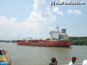 [P01]  -- <small>// FĂRĂ DESCRIERE</small> » foto by eadeea*
 - 
<span class="allrVoted glyphicon glyphicon-heart hidden" id="av496119"></span>
<a class="m-l-10 hidden" id="sv496119" onclick="voting_Foto_DelVot(,496119,2514)" role="button">șterge vot <span class="glyphicon glyphicon-remove"></span></a>
<a id="v9496119" class=" c-red"  onclick="voting_Foto_SetVot(496119)" role="button"><span class="glyphicon glyphicon-heart-empty"></span> <b>LIKE</b> = Votează poza</a> <img class="hidden"  id="f496119W9" src="/imagini/loader.gif" border="0" /><span class="AjErrMes hidden" id="e496119ErM"></span>