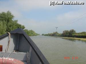 [P08]  -- <small>// FĂRĂ DESCRIERE</small> » foto by eadeea*
 - 
<span class="allrVoted glyphicon glyphicon-heart hidden" id="av496127"></span>
<a class="m-l-10 hidden" id="sv496127" onclick="voting_Foto_DelVot(,496127,2514)" role="button">șterge vot <span class="glyphicon glyphicon-remove"></span></a>
<a id="v9496127" class=" c-red"  onclick="voting_Foto_SetVot(496127)" role="button"><span class="glyphicon glyphicon-heart-empty"></span> <b>LIKE</b> = Votează poza</a> <img class="hidden"  id="f496127W9" src="/imagini/loader.gif" border="0" /><span class="AjErrMes hidden" id="e496127ErM"></span>