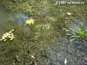 [P13]  -- <small>// FĂRĂ DESCRIERE</small> » foto by nitul
 - 
<span class="allrVoted glyphicon glyphicon-heart hidden" id="av680056"></span>
<a class="m-l-10 hidden" id="sv680056" onclick="voting_Foto_DelVot(,680056,2514)" role="button">șterge vot <span class="glyphicon glyphicon-remove"></span></a>
<a id="v9680056" class=" c-red"  onclick="voting_Foto_SetVot(680056)" role="button"><span class="glyphicon glyphicon-heart-empty"></span> <b>LIKE</b> = Votează poza</a> <img class="hidden"  id="f680056W9" src="/imagini/loader.gif" border="0" /><span class="AjErrMes hidden" id="e680056ErM"></span>