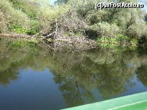 [P04]  -- <small>// FĂRĂ DESCRIERE</small> » foto by nitul
 - 
<span class="allrVoted glyphicon glyphicon-heart hidden" id="av680047"></span>
<a class="m-l-10 hidden" id="sv680047" onclick="voting_Foto_DelVot(,680047,2514)" role="button">șterge vot <span class="glyphicon glyphicon-remove"></span></a>
<a id="v9680047" class=" c-red"  onclick="voting_Foto_SetVot(680047)" role="button"><span class="glyphicon glyphicon-heart-empty"></span> <b>LIKE</b> = Votează poza</a> <img class="hidden"  id="f680047W9" src="/imagini/loader.gif" border="0" /><span class="AjErrMes hidden" id="e680047ErM"></span>