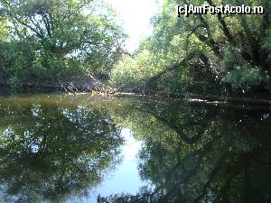 [P05]  -- <small>// FĂRĂ DESCRIERE</small> » foto by nitul
 - 
<span class="allrVoted glyphicon glyphicon-heart hidden" id="av680048"></span>
<a class="m-l-10 hidden" id="sv680048" onclick="voting_Foto_DelVot(,680048,2514)" role="button">șterge vot <span class="glyphicon glyphicon-remove"></span></a>
<a id="v9680048" class=" c-red"  onclick="voting_Foto_SetVot(680048)" role="button"><span class="glyphicon glyphicon-heart-empty"></span> <b>LIKE</b> = Votează poza</a> <img class="hidden"  id="f680048W9" src="/imagini/loader.gif" border="0" /><span class="AjErrMes hidden" id="e680048ErM"></span>