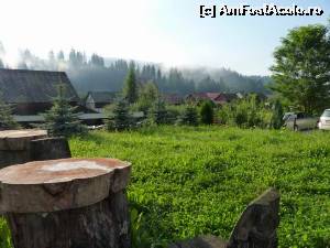 [P02] In curte » foto by sorfil
 - 
<span class="allrVoted glyphicon glyphicon-heart hidden" id="av537087"></span>
<a class="m-l-10 hidden" id="sv537087" onclick="voting_Foto_DelVot(,537087,2521)" role="button">șterge vot <span class="glyphicon glyphicon-remove"></span></a>
<a id="v9537087" class=" c-red"  onclick="voting_Foto_SetVot(537087)" role="button"><span class="glyphicon glyphicon-heart-empty"></span> <b>LIKE</b> = Votează poza</a> <img class="hidden"  id="f537087W9" src="/imagini/loader.gif" border="0" /><span class="AjErrMes hidden" id="e537087ErM"></span>