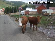 [P10] asa arata aspectul dughenelor care sunt la baza partiei » foto by bluewave
 - 
<span class="allrVoted glyphicon glyphicon-heart hidden" id="av27116"></span>
<a class="m-l-10 hidden" id="sv27116" onclick="voting_Foto_DelVot(,27116,2546)" role="button">șterge vot <span class="glyphicon glyphicon-remove"></span></a>
<a id="v927116" class=" c-red"  onclick="voting_Foto_SetVot(27116)" role="button"><span class="glyphicon glyphicon-heart-empty"></span> <b>LIKE</b> = Votează poza</a> <img class="hidden"  id="f27116W9" src="/imagini/loader.gif" border="0" /><span class="AjErrMes hidden" id="e27116ErM"></span>