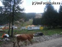 [P11] dughene la baza partiei ... » foto by bluewave
 - 
<span class="allrVoted glyphicon glyphicon-heart hidden" id="av27117"></span>
<a class="m-l-10 hidden" id="sv27117" onclick="voting_Foto_DelVot(,27117,2546)" role="button">șterge vot <span class="glyphicon glyphicon-remove"></span></a>
<a id="v927117" class=" c-red"  onclick="voting_Foto_SetVot(27117)" role="button"><span class="glyphicon glyphicon-heart-empty"></span> <b>LIKE</b> = Votează poza</a> <img class="hidden"  id="f27117W9" src="/imagini/loader.gif" border="0" /><span class="AjErrMes hidden" id="e27117ErM"></span>