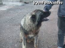 [P15]  -- <small>// FĂRĂ DESCRIERE</small> » foto by bluewave
 - 
<span class="allrVoted glyphicon glyphicon-heart hidden" id="av27121"></span>
<a class="m-l-10 hidden" id="sv27121" onclick="voting_Foto_DelVot(,27121,2546)" role="button">șterge vot <span class="glyphicon glyphicon-remove"></span></a>
<a id="v927121" class=" c-red"  onclick="voting_Foto_SetVot(27121)" role="button"><span class="glyphicon glyphicon-heart-empty"></span> <b>LIKE</b> = Votează poza</a> <img class="hidden"  id="f27121W9" src="/imagini/loader.gif" border="0" /><span class="AjErrMes hidden" id="e27121ErM"></span>