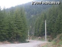 [P08] spre oradea... » foto by bluewave
 - 
<span class="allrVoted glyphicon glyphicon-heart hidden" id="av27114"></span>
<a class="m-l-10 hidden" id="sv27114" onclick="voting_Foto_DelVot(,27114,2546)" role="button">șterge vot <span class="glyphicon glyphicon-remove"></span></a>
<a id="v927114" class=" c-red"  onclick="voting_Foto_SetVot(27114)" role="button"><span class="glyphicon glyphicon-heart-empty"></span> <b>LIKE</b> = Votează poza</a> <img class="hidden"  id="f27114W9" src="/imagini/loader.gif" border="0" /><span class="AjErrMes hidden" id="e27114ErM"></span>