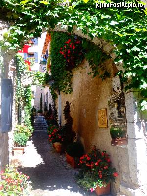 [P55] St. Paul de Vence » foto by Ammelie
 - 
<span class="allrVoted glyphicon glyphicon-heart hidden" id="av623078"></span>
<a class="m-l-10 hidden" id="sv623078" onclick="voting_Foto_DelVot(,623078,2571)" role="button">șterge vot <span class="glyphicon glyphicon-remove"></span></a>
<a id="v9623078" class=" c-red"  onclick="voting_Foto_SetVot(623078)" role="button"><span class="glyphicon glyphicon-heart-empty"></span> <b>LIKE</b> = Votează poza</a> <img class="hidden"  id="f623078W9" src="/imagini/loader.gif" border="0" /><span class="AjErrMes hidden" id="e623078ErM"></span>