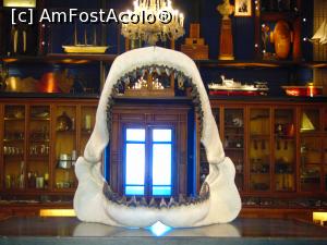 [P14] Musée océanographique de Monaco » foto by GabrielaG
 - 
<span class="allrVoted glyphicon glyphicon-heart hidden" id="av725239"></span>
<a class="m-l-10 hidden" id="sv725239" onclick="voting_Foto_DelVot(,725239,2586)" role="button">șterge vot <span class="glyphicon glyphicon-remove"></span></a>
<a id="v9725239" class=" c-red"  onclick="voting_Foto_SetVot(725239)" role="button"><span class="glyphicon glyphicon-heart-empty"></span> <b>LIKE</b> = Votează poza</a> <img class="hidden"  id="f725239W9" src="/imagini/loader.gif" border="0" /><span class="AjErrMes hidden" id="e725239ErM"></span>