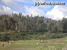 [P02] deposite si adaposturi ale sitului Sacsayhuaman » foto by grecudoina
 - 
<span class="allrVoted glyphicon glyphicon-heart hidden" id="av399717"></span>
<a class="m-l-10 hidden" id="sv399717" onclick="voting_Foto_DelVot(,399717,2606)" role="button">șterge vot <span class="glyphicon glyphicon-remove"></span></a>
<a id="v9399717" class=" c-red"  onclick="voting_Foto_SetVot(399717)" role="button"><span class="glyphicon glyphicon-heart-empty"></span> <b>LIKE</b> = Votează poza</a> <img class="hidden"  id="f399717W9" src="/imagini/loader.gif" border="0" /><span class="AjErrMes hidden" id="e399717ErM"></span>