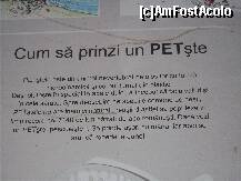 [P08] un indemn hazliu adresat si celor care vor sa prinda dar mai ales celor ce produc aceasta noua specie aparuta la noi -PETstele... » foto by alin_ph*
 - 
<span class="allrVoted glyphicon glyphicon-heart hidden" id="av270854"></span>
<a class="m-l-10 hidden" id="sv270854" onclick="voting_Foto_DelVot(,270854,2610)" role="button">șterge vot <span class="glyphicon glyphicon-remove"></span></a>
<a id="v9270854" class=" c-red"  onclick="voting_Foto_SetVot(270854)" role="button"><span class="glyphicon glyphicon-heart-empty"></span> <b>LIKE</b> = Votează poza</a> <img class="hidden"  id="f270854W9" src="/imagini/loader.gif" border="0" /><span class="AjErrMes hidden" id="e270854ErM"></span>