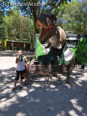 [P19] Nu mă păpa "dino" » foto by Doru  Savin
 - 
<span class="allrVoted glyphicon glyphicon-heart hidden" id="av1380569"></span>
<a class="m-l-10 hidden" id="sv1380569" onclick="voting_Foto_DelVot(,1380569,2610)" role="button">șterge vot <span class="glyphicon glyphicon-remove"></span></a>
<a id="v91380569" class=" c-red"  onclick="voting_Foto_SetVot(1380569)" role="button"><span class="glyphicon glyphicon-heart-empty"></span> <b>LIKE</b> = Votează poza</a> <img class="hidden"  id="f1380569W9" src="/imagini/loader.gif" border="0" /><span class="AjErrMes hidden" id="e1380569ErM"></span>