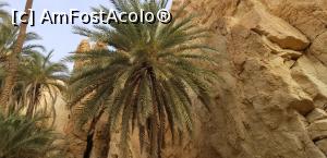 [P16] A doua vacanță &icirc;n Tunisia &ndash; Chebika » foto by nicole33
 - 
<span class="allrVoted glyphicon glyphicon-heart hidden" id="av1239500"></span>
<a class="m-l-10 hidden" id="sv1239500" onclick="voting_Foto_DelVot(,1239500,2617)" role="button">șterge vot <span class="glyphicon glyphicon-remove"></span></a>
<a id="v91239500" class=" c-red"  onclick="voting_Foto_SetVot(1239500)" role="button"><span class="glyphicon glyphicon-heart-empty"></span> <b>LIKE</b> = Votează poza</a> <img class="hidden"  id="f1239500W9" src="/imagini/loader.gif" border="0" /><span class="AjErrMes hidden" id="e1239500ErM"></span>