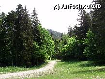 [P03] carari de munte » foto by mirelab
 - 
<span class="allrVoted glyphicon glyphicon-heart hidden" id="av8672"></span>
<a class="m-l-10 hidden" id="sv8672" onclick="voting_Foto_DelVot(,8672,2622)" role="button">șterge vot <span class="glyphicon glyphicon-remove"></span></a>
<a id="v98672" class=" c-red"  onclick="voting_Foto_SetVot(8672)" role="button"><span class="glyphicon glyphicon-heart-empty"></span> <b>LIKE</b> = Votează poza</a> <img class="hidden"  id="f8672W9" src="/imagini/loader.gif" border="0" /><span class="AjErrMes hidden" id="e8672ErM"></span>