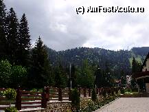 [P04] Poiana Brasov, colorata asa cum va spuneam » foto by mirelab
 - 
<span class="allrVoted glyphicon glyphicon-heart hidden" id="av8673"></span>
<a class="m-l-10 hidden" id="sv8673" onclick="voting_Foto_DelVot(,8673,2622)" role="button">șterge vot <span class="glyphicon glyphicon-remove"></span></a>
<a id="v98673" class=" c-red"  onclick="voting_Foto_SetVot(8673)" role="button"><span class="glyphicon glyphicon-heart-empty"></span> <b>LIKE</b> = Votează poza</a> <img class="hidden"  id="f8673W9" src="/imagini/loader.gif" border="0" /><span class="AjErrMes hidden" id="e8673ErM"></span>