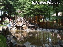 [P11] ...gradina,in toata splendoarea ei... » foto by trandafir 1970*
 - 
<span class="allrVoted glyphicon glyphicon-heart hidden" id="av32429"></span>
<a class="m-l-10 hidden" id="sv32429" onclick="voting_Foto_DelVot(,32429,2622)" role="button">șterge vot <span class="glyphicon glyphicon-remove"></span></a>
<a id="v932429" class=" c-red"  onclick="voting_Foto_SetVot(32429)" role="button"><span class="glyphicon glyphicon-heart-empty"></span> <b>LIKE</b> = Votează poza</a> <img class="hidden"  id="f32429W9" src="/imagini/loader.gif" border="0" /><span class="AjErrMes hidden" id="e32429ErM"></span>