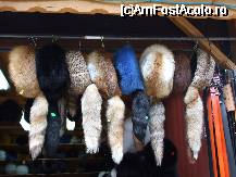 [P14] ...of, ce-mi facea cu ochiul caciula albastra! » foto by trandafir 1970*
 - 
<span class="allrVoted glyphicon glyphicon-heart hidden" id="av32432"></span>
<a class="m-l-10 hidden" id="sv32432" onclick="voting_Foto_DelVot(,32432,2622)" role="button">șterge vot <span class="glyphicon glyphicon-remove"></span></a>
<a id="v932432" class=" c-red"  onclick="voting_Foto_SetVot(32432)" role="button"><span class="glyphicon glyphicon-heart-empty"></span> <b>LIKE</b> = Votează poza</a> <img class="hidden"  id="f32432W9" src="/imagini/loader.gif" border="0" /><span class="AjErrMes hidden" id="e32432ErM"></span>