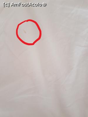 [P04] cu ochiul liber se observa chiar si mai bine :)  » foto by alex.stan
 - 
<span class="allrVoted glyphicon glyphicon-heart hidden" id="av898996"></span>
<a class="m-l-10 hidden" id="sv898996" onclick="voting_Foto_DelVot(,898996,2637)" role="button">șterge vot <span class="glyphicon glyphicon-remove"></span></a>
<a id="v9898996" class=" c-red"  onclick="voting_Foto_SetVot(898996)" role="button"><span class="glyphicon glyphicon-heart-empty"></span> <b>LIKE</b> = Votează poza</a> <img class="hidden"  id="f898996W9" src="/imagini/loader.gif" border="0" /><span class="AjErrMes hidden" id="e898996ErM"></span>