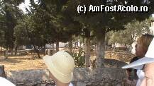 [P02]  -- <small>// FĂRĂ DESCRIERE</small> » foto by Dabator
 - 
<span class="allrVoted glyphicon glyphicon-heart hidden" id="av8658"></span>
<a class="m-l-10 hidden" id="sv8658" onclick="voting_Foto_DelVot(,8658,2642)" role="button">șterge vot <span class="glyphicon glyphicon-remove"></span></a>
<a id="v98658" class=" c-red"  onclick="voting_Foto_SetVot(8658)" role="button"><span class="glyphicon glyphicon-heart-empty"></span> <b>LIKE</b> = Votează poza</a> <img class="hidden"  id="f8658W9" src="/imagini/loader.gif" border="0" /><span class="AjErrMes hidden" id="e8658ErM"></span>