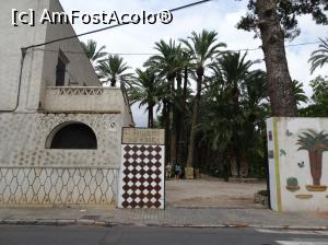 [P03] Printre palmieri la Huerto del Cura - intrarea în grădina botanică » foto by nicole33
 - 
<span class="allrVoted glyphicon glyphicon-heart hidden" id="av1116360"></span>
<a class="m-l-10 hidden" id="sv1116360" onclick="voting_Foto_DelVot(,1116360,2660)" role="button">șterge vot <span class="glyphicon glyphicon-remove"></span></a>
<a id="v91116360" class=" c-red"  onclick="voting_Foto_SetVot(1116360)" role="button"><span class="glyphicon glyphicon-heart-empty"></span> <b>LIKE</b> = Votează poza</a> <img class="hidden"  id="f1116360W9" src="/imagini/loader.gif" border="0" /><span class="AjErrMes hidden" id="e1116360ErM"></span>