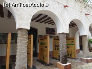 [P04] Printre palmieri la Huerto del Cura - casa " gradinarului"  » foto by nicole33
 - 
<span class="allrVoted glyphicon glyphicon-heart hidden" id="av1116361"></span>
<a class="m-l-10 hidden" id="sv1116361" onclick="voting_Foto_DelVot(,1116361,2660)" role="button">șterge vot <span class="glyphicon glyphicon-remove"></span></a>
<a id="v91116361" class=" c-red"  onclick="voting_Foto_SetVot(1116361)" role="button"><span class="glyphicon glyphicon-heart-empty"></span> <b>LIKE</b> = Votează poza</a> <img class="hidden"  id="f1116361W9" src="/imagini/loader.gif" border="0" /><span class="AjErrMes hidden" id="e1116361ErM"></span>