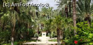 [P09] Printre palmieri la Huerto del Cura - bustul eliberatorului oraşului Elche » foto by nicole33
 - 
<span class="allrVoted glyphicon glyphicon-heart hidden" id="av1116366"></span>
<a class="m-l-10 hidden" id="sv1116366" onclick="voting_Foto_DelVot(,1116366,2660)" role="button">șterge vot <span class="glyphicon glyphicon-remove"></span></a>
<a id="v91116366" class=" c-red"  onclick="voting_Foto_SetVot(1116366)" role="button"><span class="glyphicon glyphicon-heart-empty"></span> <b>LIKE</b> = Votează poza</a> <img class="hidden"  id="f1116366W9" src="/imagini/loader.gif" border="0" /><span class="AjErrMes hidden" id="e1116366ErM"></span>