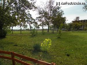 [P08]  -- <small>// FĂRĂ DESCRIERE</small> » foto by sniga
 - 
<span class="allrVoted glyphicon glyphicon-heart hidden" id="av363677"></span>
<a class="m-l-10 hidden" id="sv363677" onclick="voting_Foto_DelVot(,363677,2689)" role="button">șterge vot <span class="glyphicon glyphicon-remove"></span></a>
<a id="v9363677" class=" c-red"  onclick="voting_Foto_SetVot(363677)" role="button"><span class="glyphicon glyphicon-heart-empty"></span> <b>LIKE</b> = Votează poza</a> <img class="hidden"  id="f363677W9" src="/imagini/loader.gif" border="0" /><span class="AjErrMes hidden" id="e363677ErM"></span>