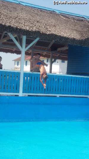 [P11] sarituri la piscina » foto by mihaela6226
 - 
<span class="allrVoted glyphicon glyphicon-heart hidden" id="av649353"></span>
<a class="m-l-10 hidden" id="sv649353" onclick="voting_Foto_DelVot(,649353,2694)" role="button">șterge vot <span class="glyphicon glyphicon-remove"></span></a>
<a id="v9649353" class=" c-red"  onclick="voting_Foto_SetVot(649353)" role="button"><span class="glyphicon glyphicon-heart-empty"></span> <b>LIKE</b> = Votează poza</a> <img class="hidden"  id="f649353W9" src="/imagini/loader.gif" border="0" /><span class="AjErrMes hidden" id="e649353ErM"></span>