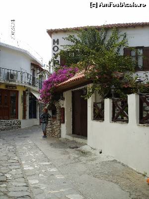 [P12] Strada in Skiatos » foto by FLOREA ADRIAN
 - 
<span class="allrVoted glyphicon glyphicon-heart hidden" id="av610073"></span>
<a class="m-l-10 hidden" id="sv610073" onclick="voting_Foto_DelVot(,610073,2696)" role="button">șterge vot <span class="glyphicon glyphicon-remove"></span></a>
<a id="v9610073" class=" c-red"  onclick="voting_Foto_SetVot(610073)" role="button"><span class="glyphicon glyphicon-heart-empty"></span> <b>LIKE</b> = Votează poza</a> <img class="hidden"  id="f610073W9" src="/imagini/loader.gif" border="0" /><span class="AjErrMes hidden" id="e610073ErM"></span>