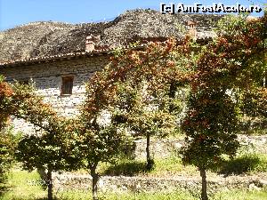 [P22] Edenul Marelui Meteor » foto by FLOREA ADRIAN
 - 
<span class="allrVoted glyphicon glyphicon-heart hidden" id="av610083"></span>
<a class="m-l-10 hidden" id="sv610083" onclick="voting_Foto_DelVot(,610083,2696)" role="button">șterge vot <span class="glyphicon glyphicon-remove"></span></a>
<a id="v9610083" class=" c-red"  onclick="voting_Foto_SetVot(610083)" role="button"><span class="glyphicon glyphicon-heart-empty"></span> <b>LIKE</b> = Votează poza</a> <img class="hidden"  id="f610083W9" src="/imagini/loader.gif" border="0" /><span class="AjErrMes hidden" id="e610083ErM"></span>