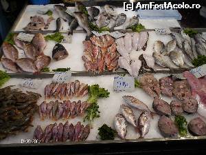 [P23] Magazin pescarie in piata din Salonic » foto by FLOREA ADRIAN
 - 
<span class="allrVoted glyphicon glyphicon-heart hidden" id="av610084"></span>
<a class="m-l-10 hidden" id="sv610084" onclick="voting_Foto_DelVot(,610084,2696)" role="button">șterge vot <span class="glyphicon glyphicon-remove"></span></a>
<a id="v9610084" class=" c-red"  onclick="voting_Foto_SetVot(610084)" role="button"><span class="glyphicon glyphicon-heart-empty"></span> <b>LIKE</b> = Votează poza</a> <img class="hidden"  id="f610084W9" src="/imagini/loader.gif" border="0" /><span class="AjErrMes hidden" id="e610084ErM"></span>
