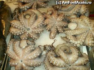 [P25] tot in piata in Salonic » foto by FLOREA ADRIAN
 - 
<span class="allrVoted glyphicon glyphicon-heart hidden" id="av610086"></span>
<a class="m-l-10 hidden" id="sv610086" onclick="voting_Foto_DelVot(,610086,2696)" role="button">șterge vot <span class="glyphicon glyphicon-remove"></span></a>
<a id="v9610086" class=" c-red"  onclick="voting_Foto_SetVot(610086)" role="button"><span class="glyphicon glyphicon-heart-empty"></span> <b>LIKE</b> = Votează poza</a> <img class="hidden"  id="f610086W9" src="/imagini/loader.gif" border="0" /><span class="AjErrMes hidden" id="e610086ErM"></span>