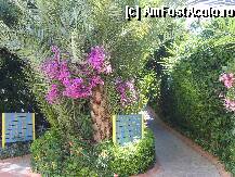 [P01] o intersectie de aleei, dupa cum se vede totul semnalizat, la receptie primesti un fel de harta a complexului » foto by maria10
 - 
<span class="allrVoted glyphicon glyphicon-heart hidden" id="av9843"></span>
<a class="m-l-10 hidden" id="sv9843" onclick="voting_Foto_DelVot(,9843,2733)" role="button">șterge vot <span class="glyphicon glyphicon-remove"></span></a>
<a id="v99843" class=" c-red"  onclick="voting_Foto_SetVot(9843)" role="button"><span class="glyphicon glyphicon-heart-empty"></span> <b>LIKE</b> = Votează poza</a> <img class="hidden"  id="f9843W9" src="/imagini/loader.gif" border="0" /><span class="AjErrMes hidden" id="e9843ErM"></span>